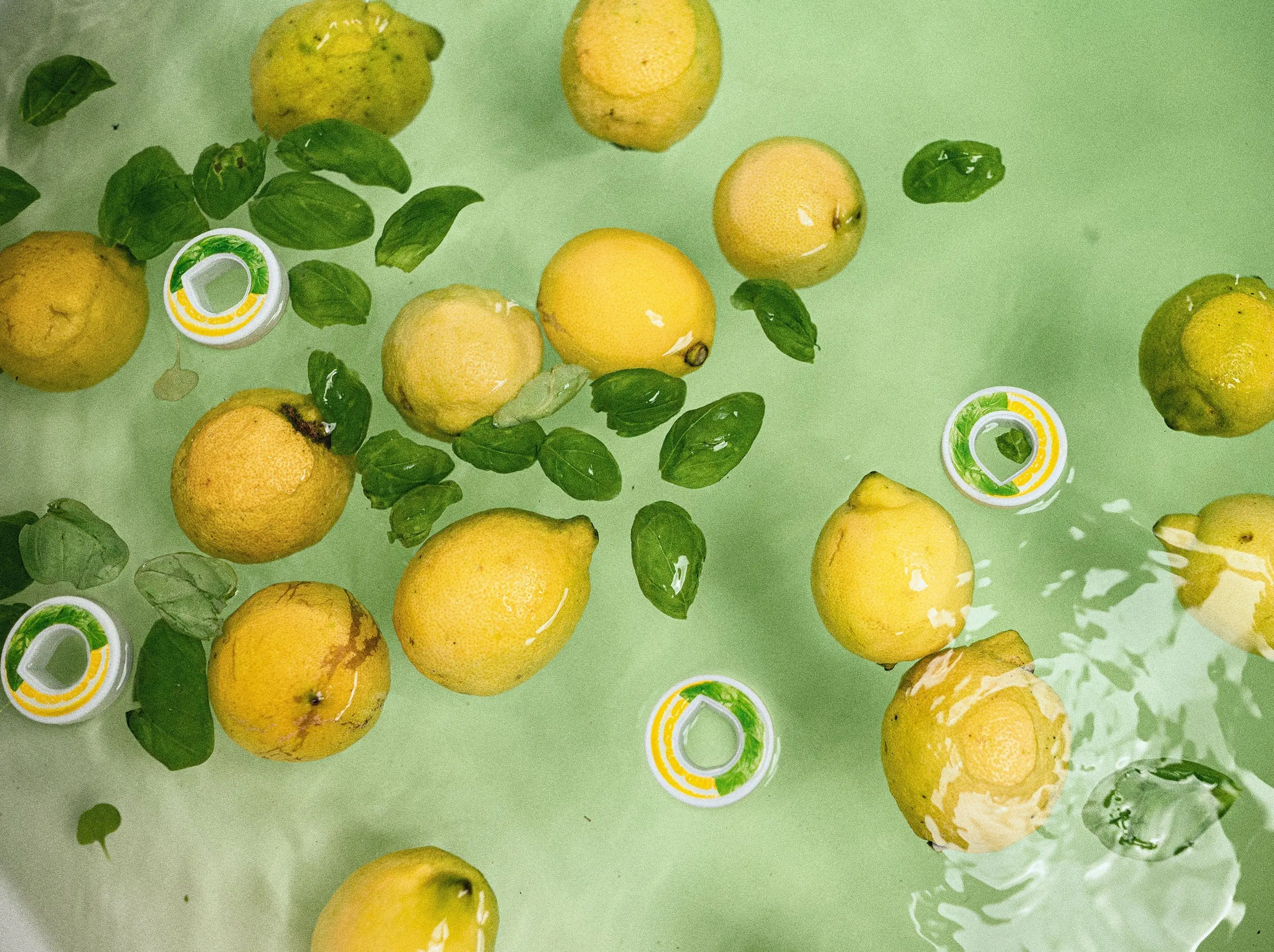 Basil-Lemon Pods